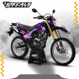 HONDA CRF 150 L Graphics Kit 18